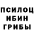 Галлюциногенные грибы мицелий Tigran Badeyan